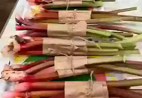 Sharing our Produce